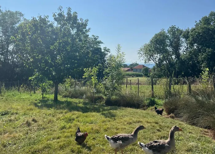 Corps De Ferme A 50min De Lyon Moissieu-sur-Dolon