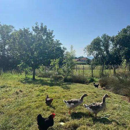 Corps De Ferme A 50min De Lyon Moissieu-sur-Dolon